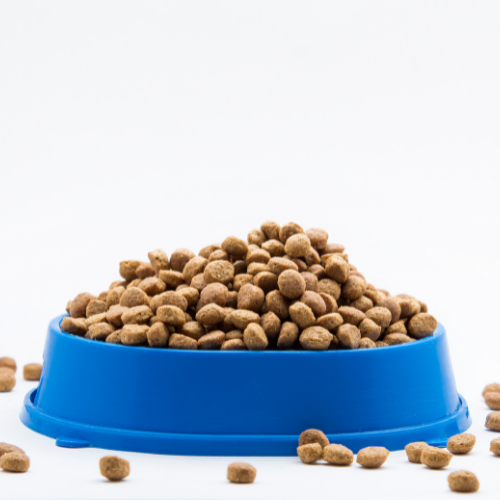 Cat Food | Kitten Biscuits  