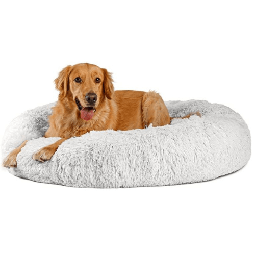 Large Dog Beds NZ 