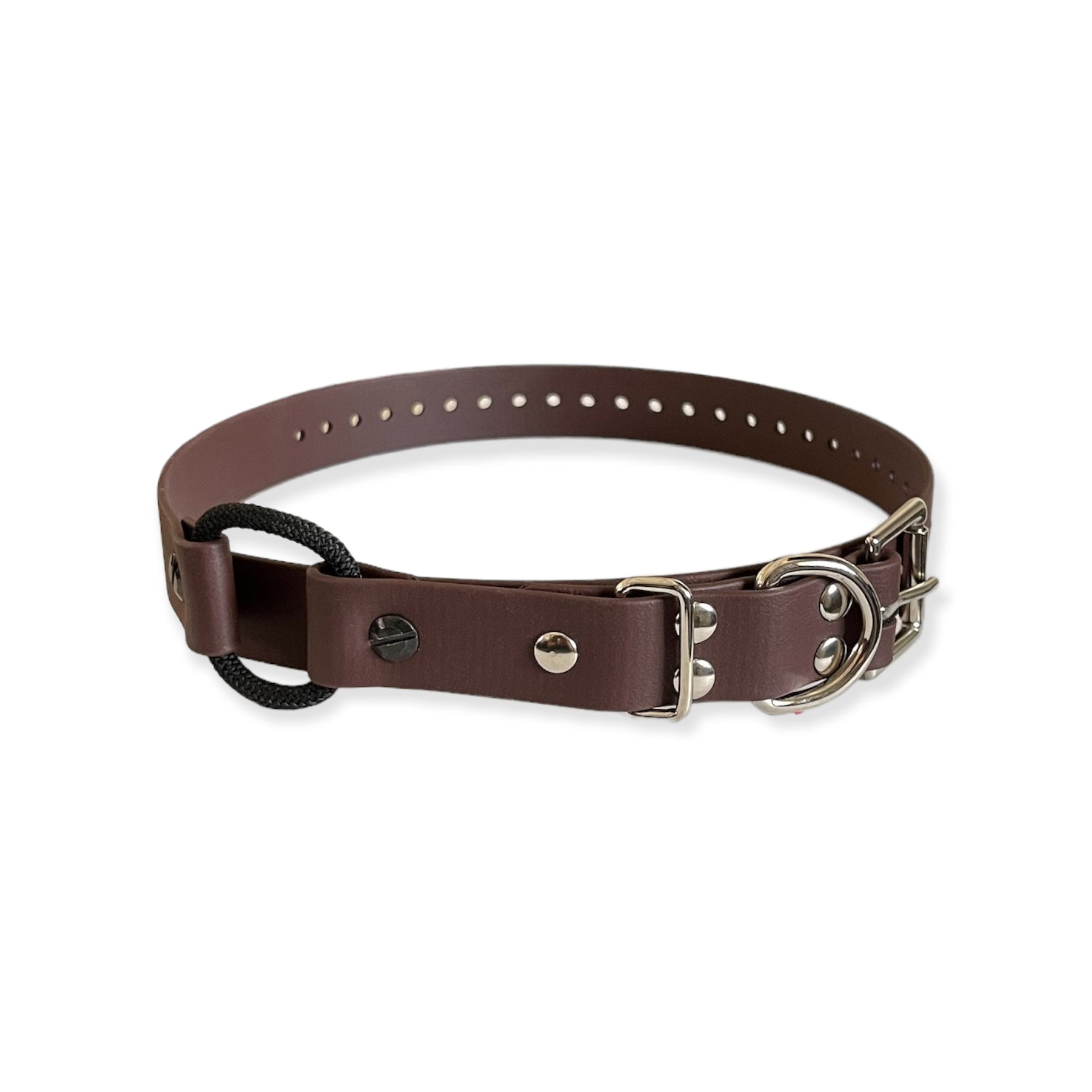 1" Bungee Collar 33" Length