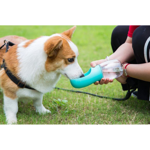 Three different colors of the same Anything Pets Portable Drinking Bottle.