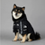 dog_wearing_large_black_rain_coat_jacket