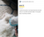 Blue_and_Pink_360_rotating_brush_head_easy_grooming_pets.png 