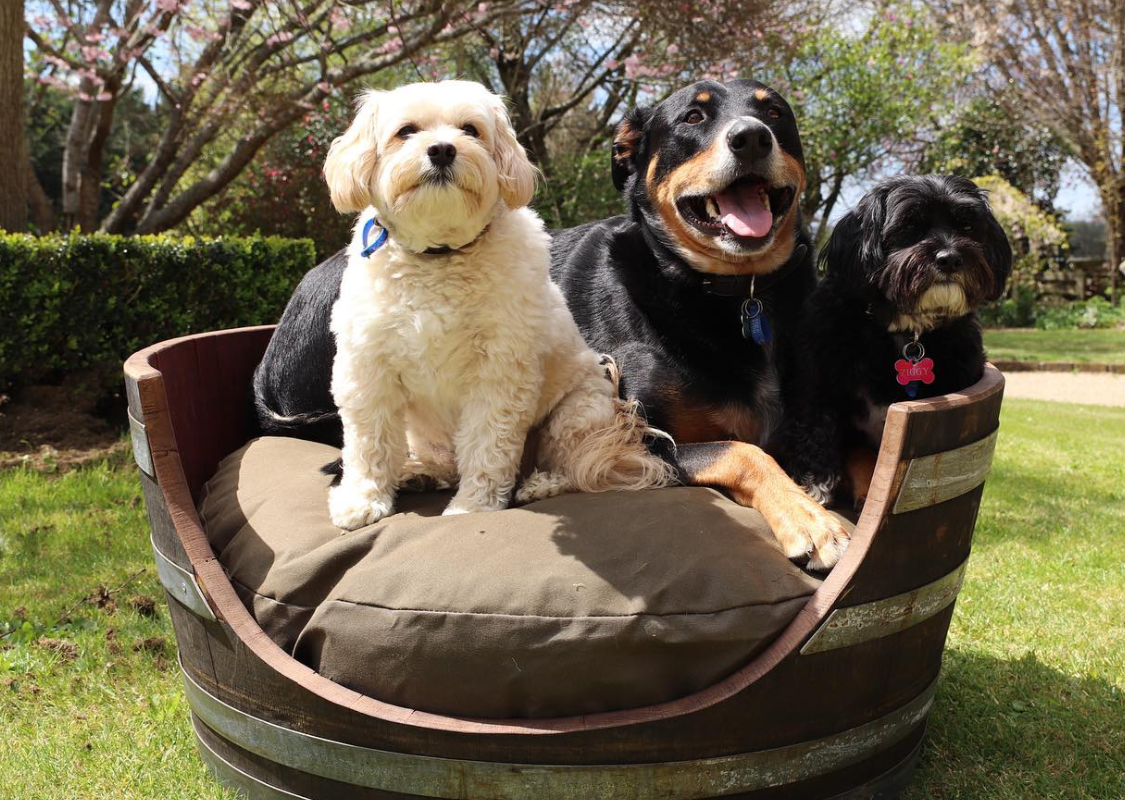 Barrel Dog Bed - Circular | Cambridge Road Pets