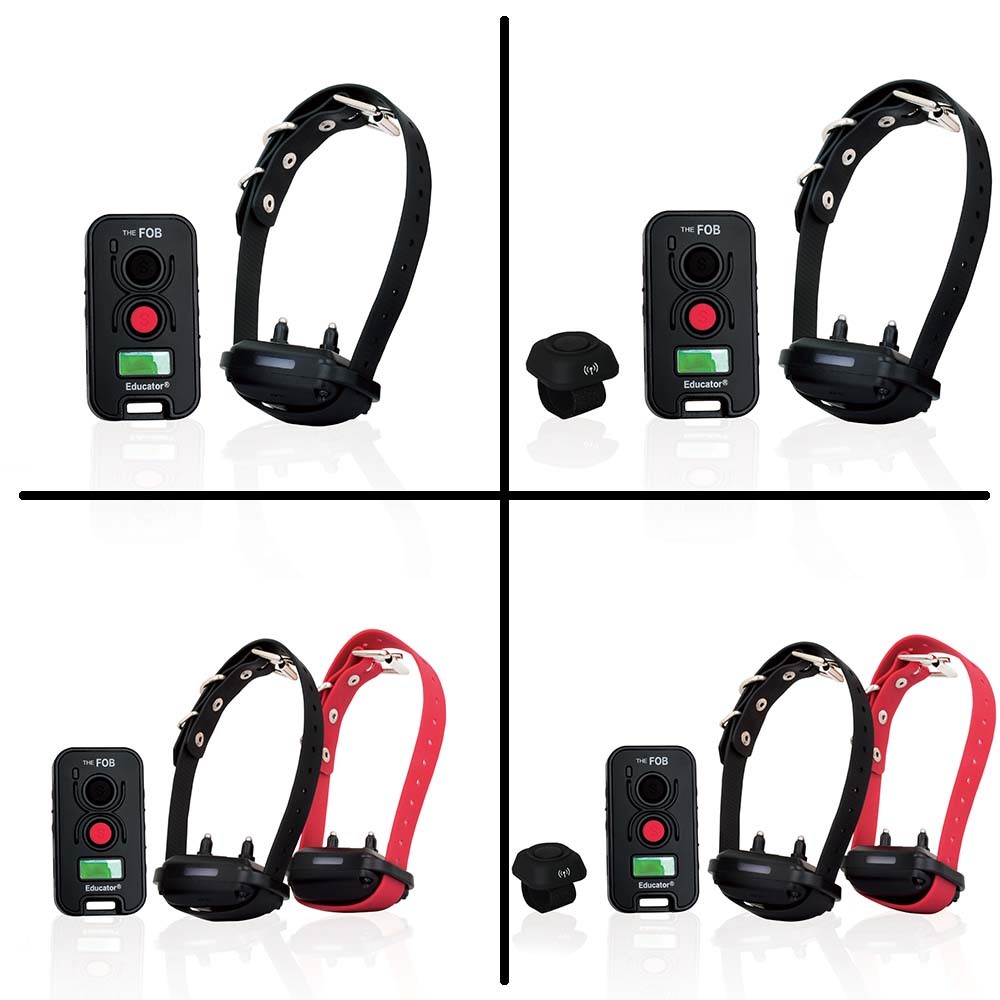 FE-560 FOB Educator E-Collar Remote Dog Trainer