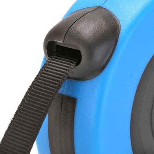 Blue Anything Pets Retractable leads up to 5meters long