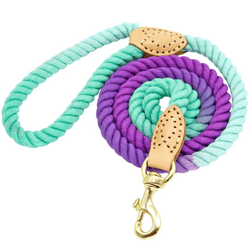 A purple and blue Anything Pets Ocean Leash with a gold hook from Anything Pets