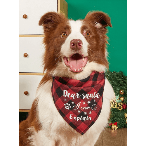 Dear Santa I Can Explain Bandana Christmas Pets Dog Cats Puppies Bandana xmas Festive Santa Naughty 