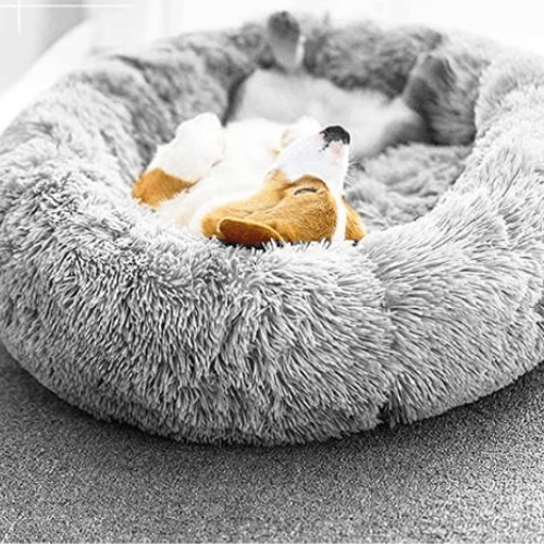 Fox Terrier relaxing on Anything Pets Calming Doughnut Bed Soft quality suits cats and dogs. Sizes large or small. Happier and healthier pets. Great Price.